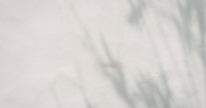 What to Do After a Hospice Death at Home