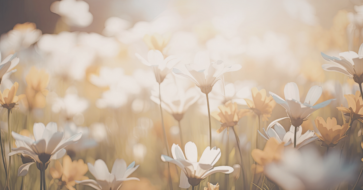 Emotional Rollercoaster of Hospice: How to Handle Guilt, Anger, and Anticipatory Grief 24