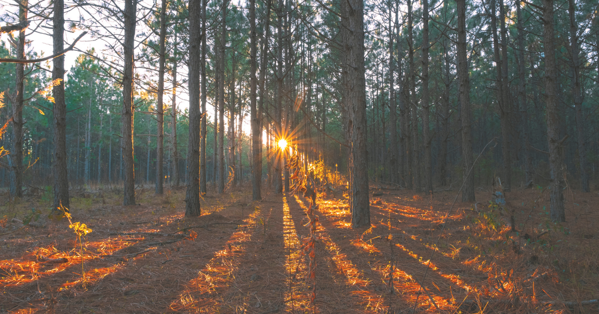 Signs of Active Dying: What’s Normal in the Final Days and When to Call Hospice 54