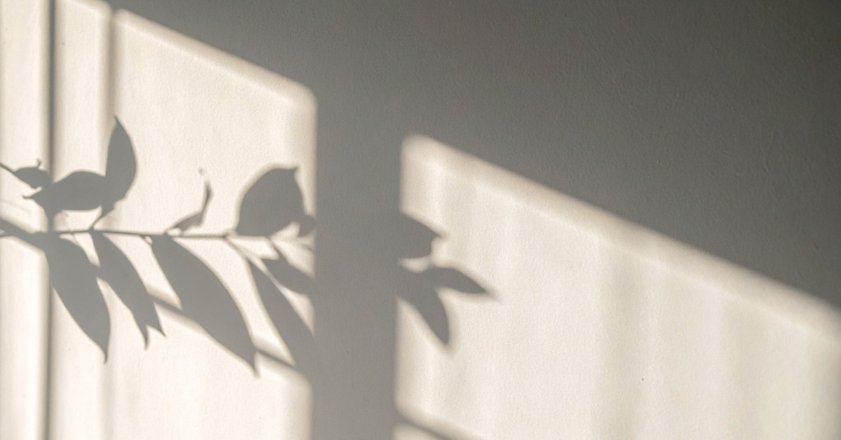 Hospice Symptom Action Plan